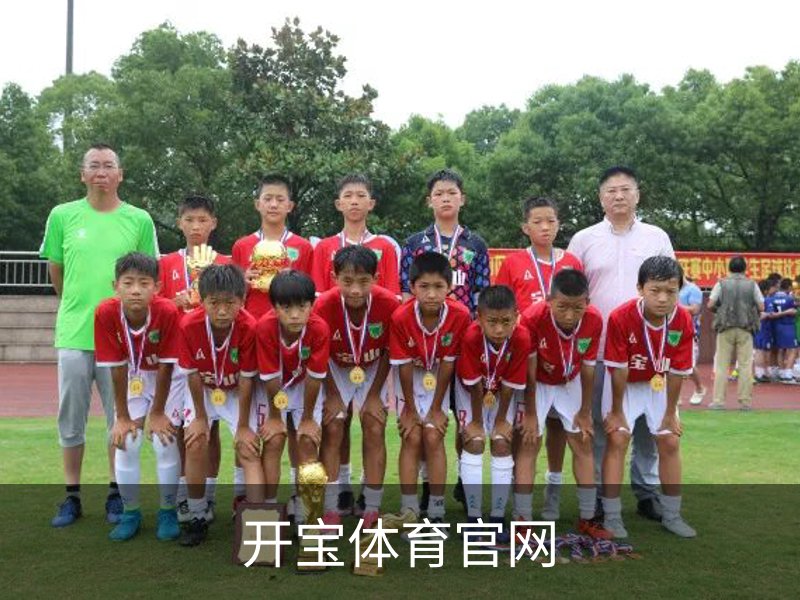 开宝体育官网概况