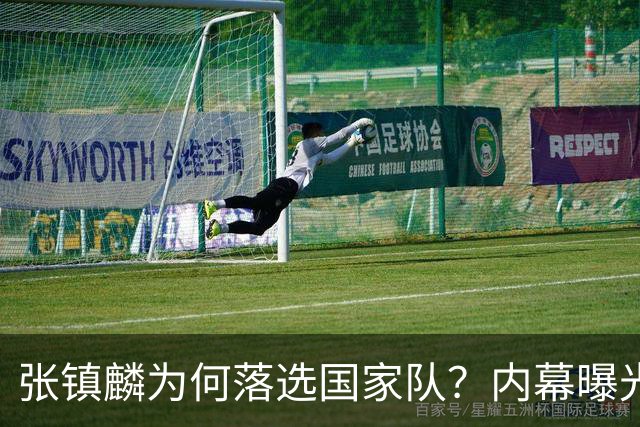 张镇麟为何落选国家队？内幕曝光，叫人心疼，郭士强并没放弃他